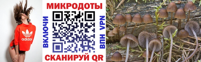 магазин  наркотиков  shop телеграм  Псилоцибиновые грибы ЛСД  Озёры 